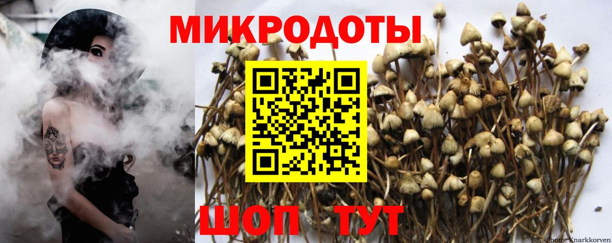 Псилоцибиновые грибы прущие грибы Удомля