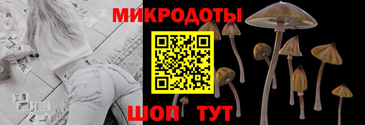 Псилоцибиновые грибы Psilocybe  Вход с VPN  Удомля 